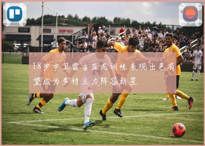 18岁中卫雷吉亚尼训练表现出色有望成为多特主力阵容新星