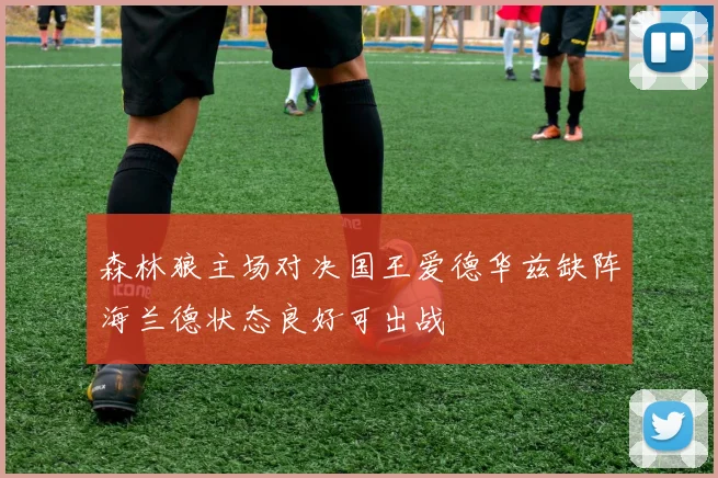 森林狼主场对决国王爱德华兹缺阵海兰德状态良好可出战