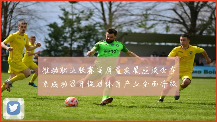 推动职业联赛高质量发展座谈会在京成功召开促进体育产业全面升级与创新发展