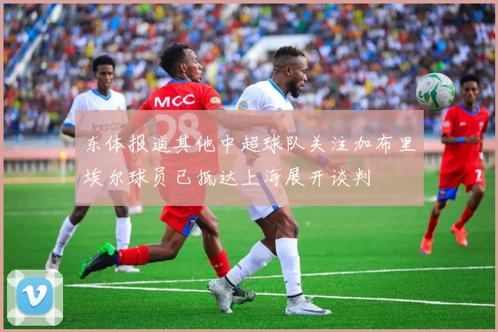 东体报道其他中超球队关注加布里埃尔球员已抵达上海展开谈判