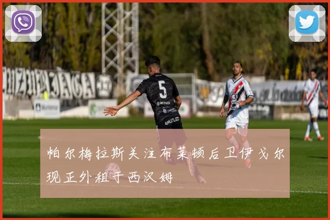 帕尔梅拉斯关注布莱顿后卫伊戈尔现正外租于西汉姆