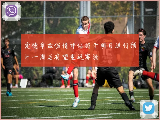 爱德华兹伤情评估将于明日进行预计一周后有望重返赛场