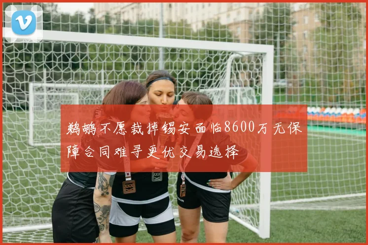 鹈鹕不愿裁掉锡安面临8600万无保障合同难寻更优交易选择