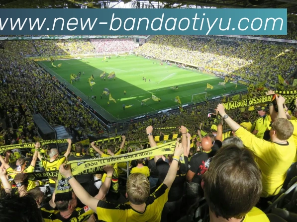 半岛体育平台生态图