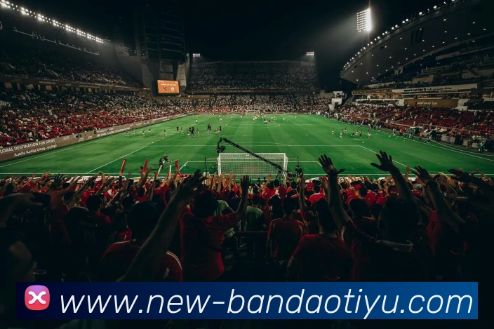 半岛体育APP 封面图